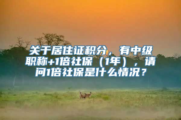 关于居住证积分，有中级职称+1倍社保（1年），请问1倍社保是什么情况？