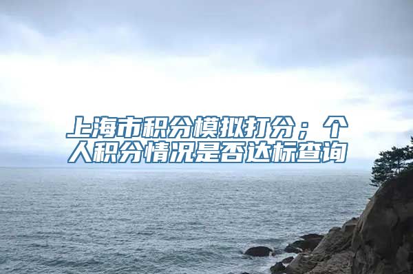 上海市积分模拟打分；个人积分情况是否达标查询