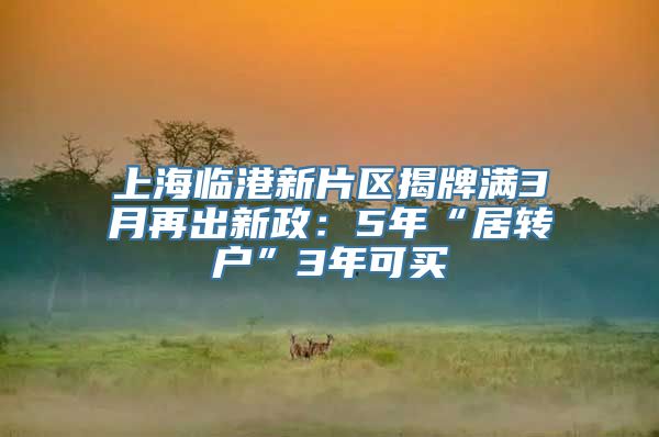 上海临港新片区揭牌满3月再出新政：5年“居转户”3年可买