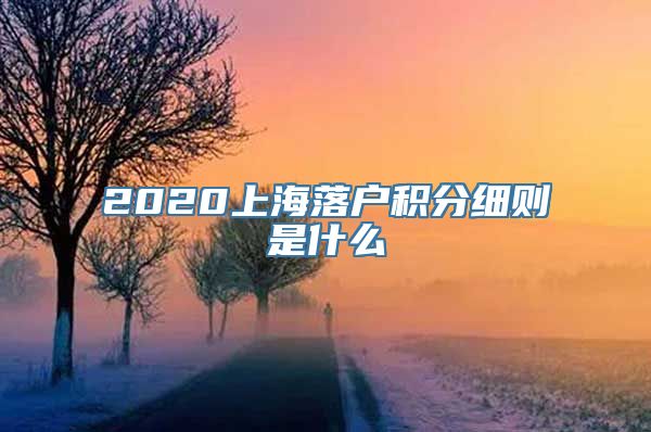 2020上海落户积分细则是什么