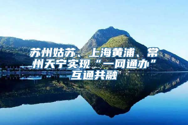 苏州姑苏、上海黄浦、常州天宁实现“一网通办”互通共融