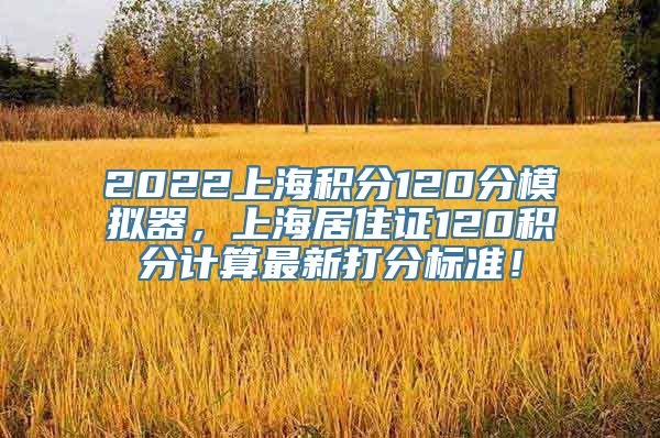 2022上海积分120分模拟器，上海居住证120积分计算最新打分标准！