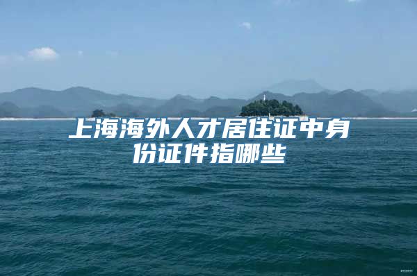 上海海外人才居住证中身份证件指哪些