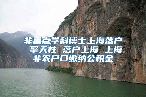 非重点学科博士上海落户 擎天柱 落户上海 上海非农户口缴纳公积金