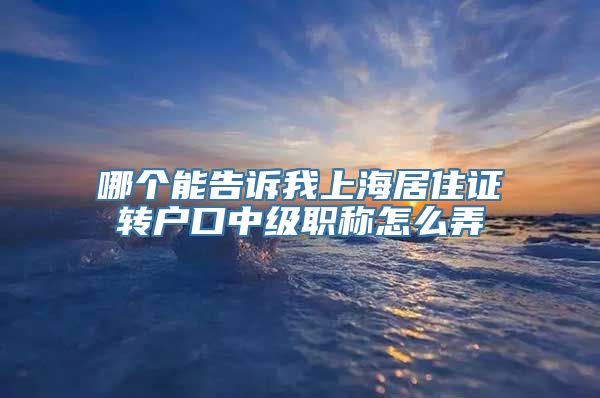 哪个能告诉我上海居住证转户口中级职称怎么弄