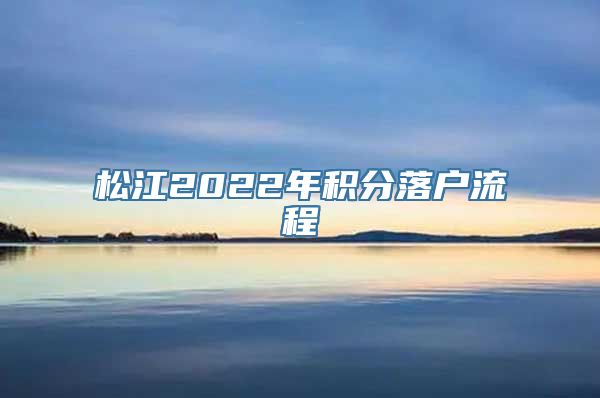 松江2022年积分落户流程