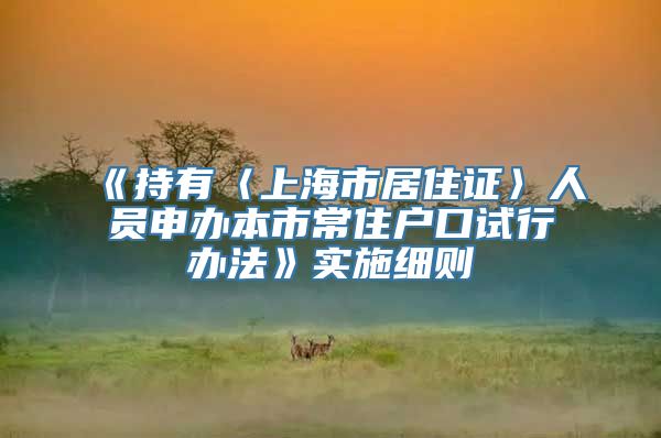 《持有〈上海市居住证〉人员申办本市常住户口试行办法》实施细则