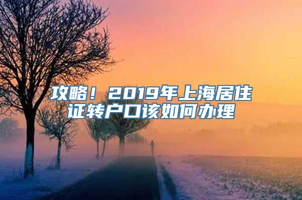 攻略！2019年上海居住证转户口该如何办理