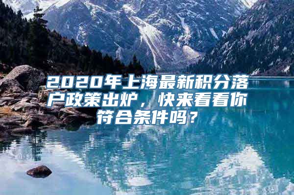 2020年上海最新积分落户政策出炉，快来看看你符合条件吗？