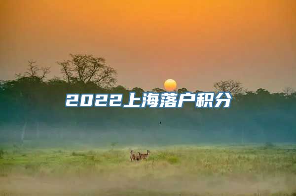 2022上海落户积分