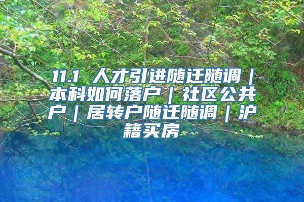 11.1 人才引进随迁随调｜本科如何落户｜社区公共户｜居转户随迁随调｜沪籍买房