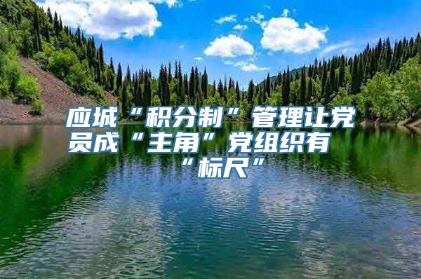 应城“积分制”管理让党员成“主角”党组织有“标尺”