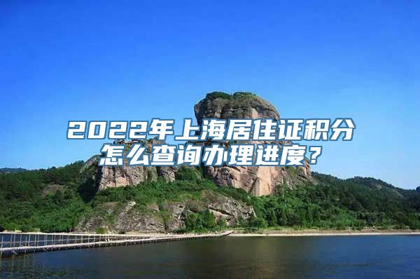 2022年上海居住证积分怎么查询办理进度？