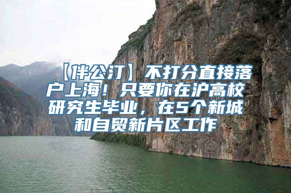 【伴公汀】不打分直接落户上海！只要你在沪高校研究生毕业，在5个新城和自贸新片区工作