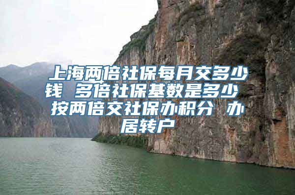 上海两倍社保每月交多少钱 多倍社保基数是多少 按两倍交社保办积分 办居转户