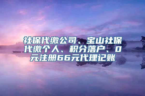 社保代缴公司、宝山社保代缴个人、积分落户、0元注册66元代理记账