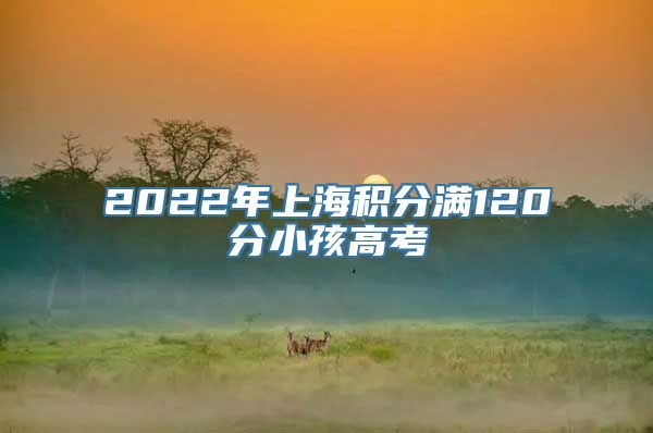 2022年上海积分满120分小孩高考