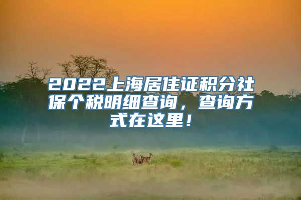 2022上海居住证积分社保个税明细查询，查询方式在这里！