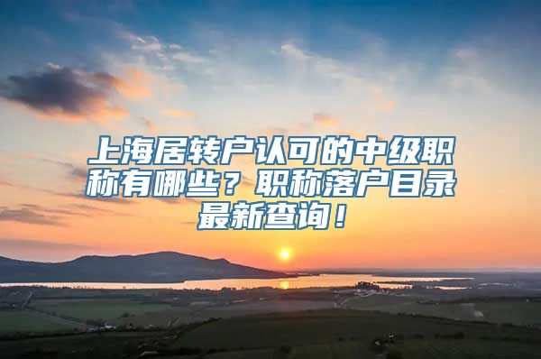 上海居转户认可的中级职称有哪些？职称落户目录最新查询！