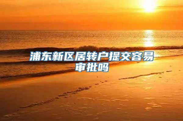 浦东新区居转户提交容易审批吗