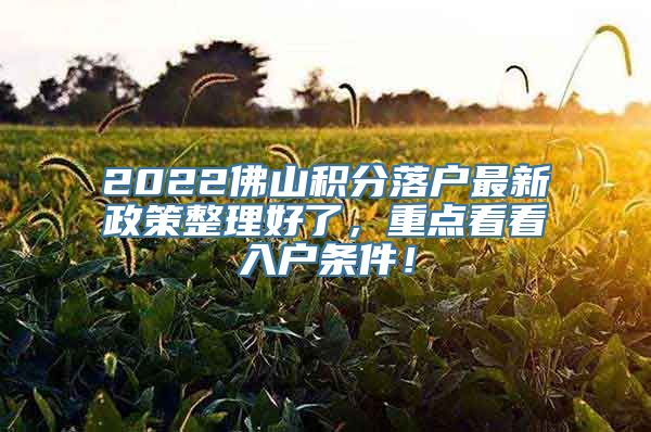 2022佛山积分落户最新政策整理好了，重点看看入户条件！