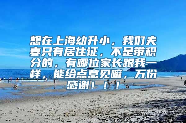 想在上海幼升小，我们夫妻只有居住证，不是带积分的，有哪位家长跟我一样，能给点意见嘛，万份感谢！！！