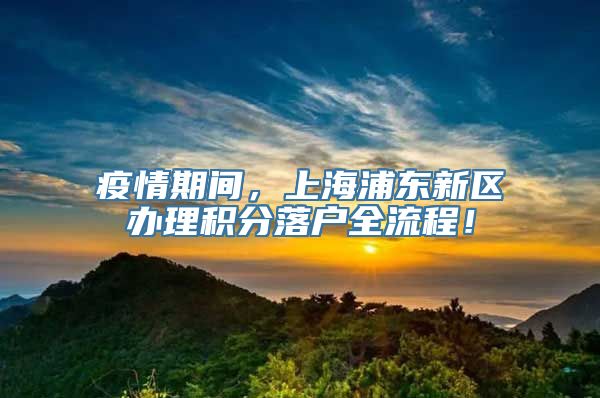 疫情期间，上海浦东新区办理积分落户全流程！