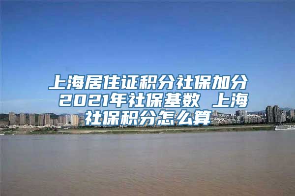 上海居住证积分社保加分 2021年社保基数 上海社保积分怎么算