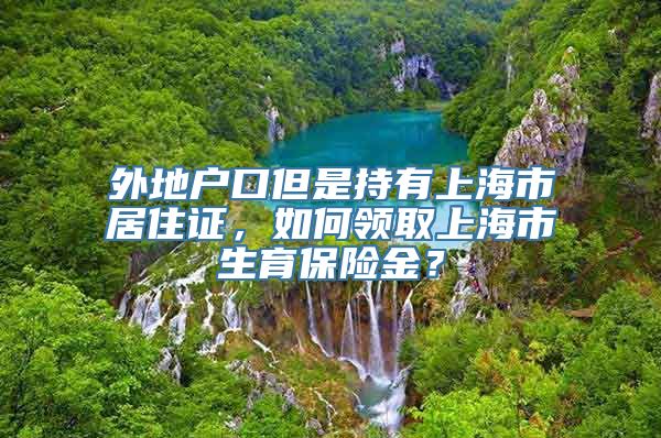 外地户口但是持有上海市居住证，如何领取上海市生育保险金？