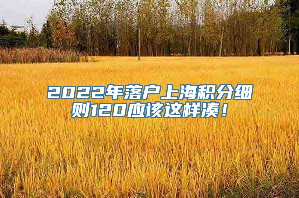 2022年落户上海积分细则120应该这样凑！