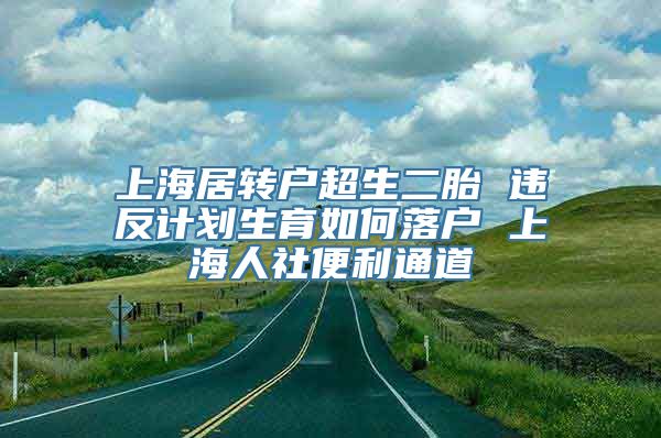 上海居转户超生二胎 违反计划生育如何落户 上海人社便利通道