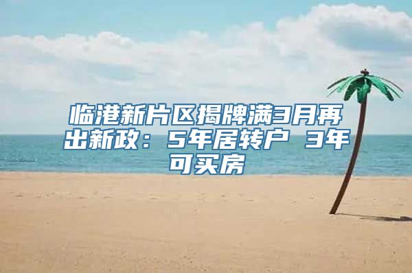 临港新片区揭牌满3月再出新政：5年居转户 3年可买房