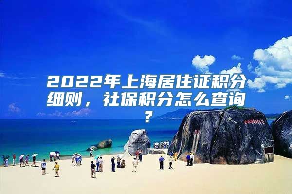 2022年上海居住证积分细则，社保积分怎么查询？