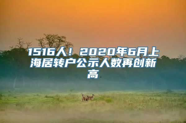 1516人！2020年6月上海居转户公示人数再创新高