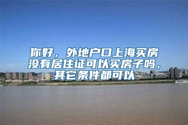 你好，外地户口上海买房没有居住证可以买房子吗，其它条件都可以