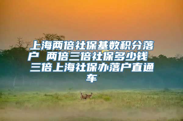 上海两倍社保基数积分落户 两倍三倍社保多少钱 三倍上海社保办落户直通车