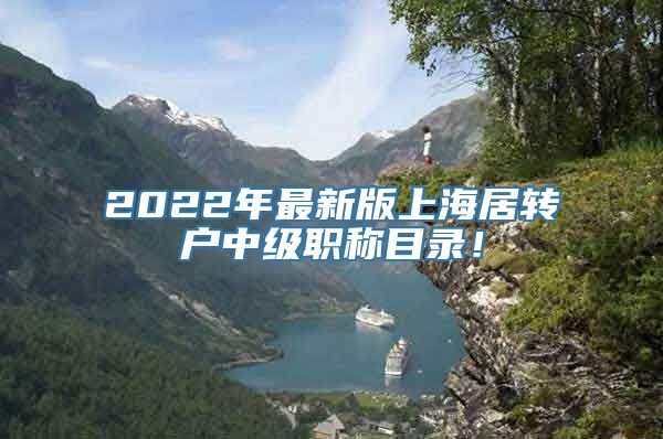 2022年最新版上海居转户中级职称目录！