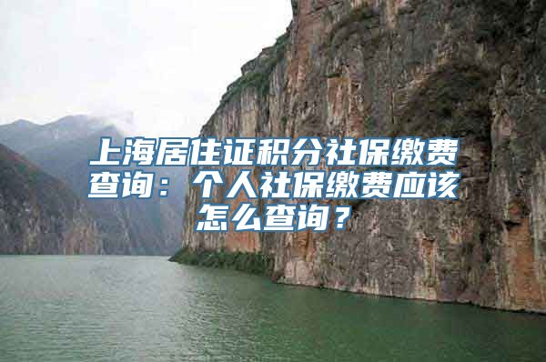 上海居住证积分社保缴费查询：个人社保缴费应该怎么查询？