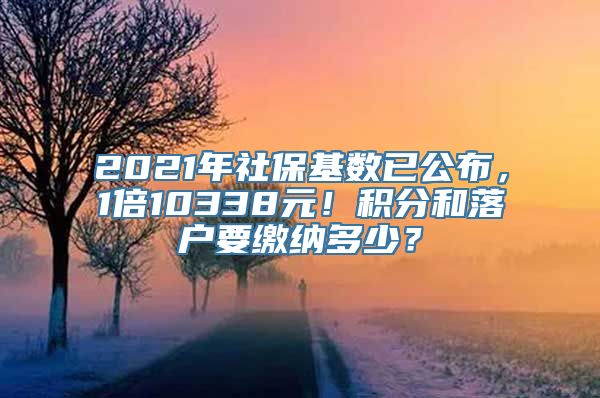 2021年社保基数已公布，1倍10338元！积分和落户要缴纳多少？