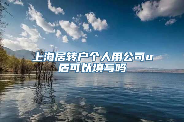 上海居转户个人用公司u盾可以填写吗