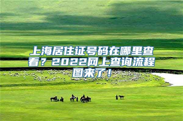 上海居住证号码在哪里查看？2022网上查询流程图来了！