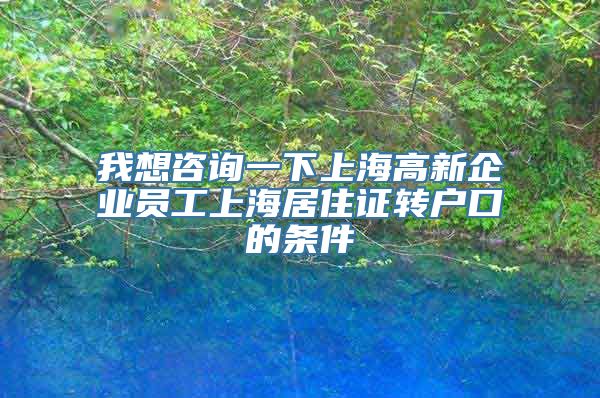 我想咨询一下上海高新企业员工上海居住证转户口的条件