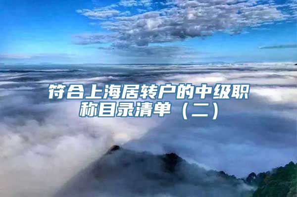 符合上海居转户的中级职称目录清单（二）