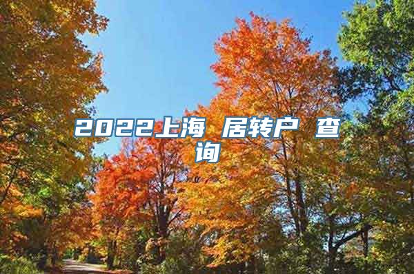 2022上海 居转户 查询