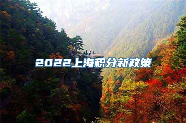 2022上海积分新政策