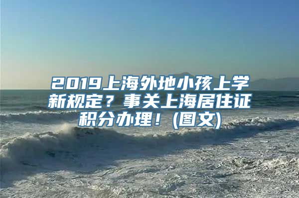 2019上海外地小孩上学新规定？事关上海居住证积分办理！(图文)