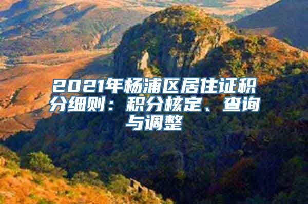 2021年杨浦区居住证积分细则：积分核定、查询与调整