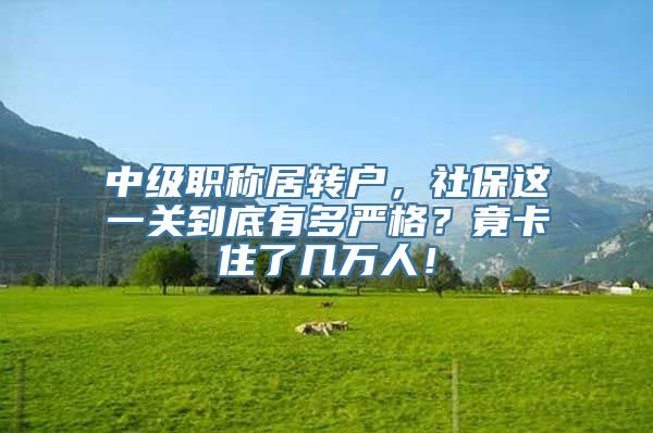 中级职称居转户，社保这一关到底有多严格？竟卡住了几万人！