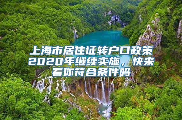 上海市居住证转户口政策2020年继续实施，快来看你符合条件吗