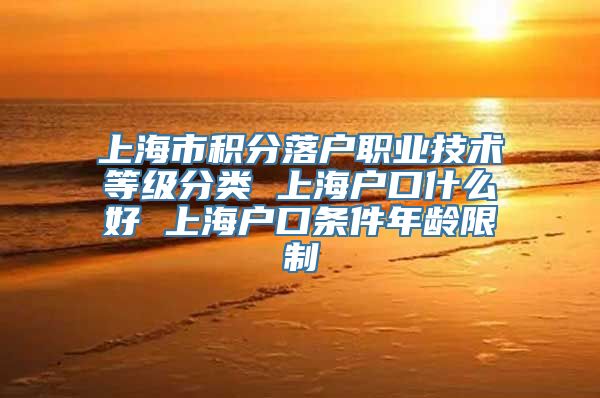 上海市积分落户职业技术等级分类 上海户口什么好 上海户口条件年龄限制